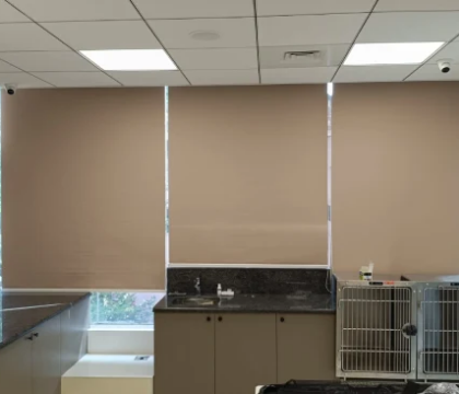 Customer Image